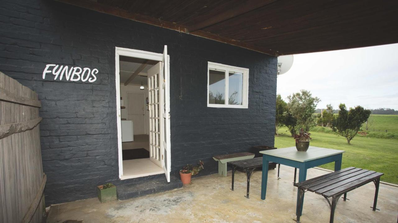 סטורמסריבייר Beyond Urban Cottages מראה חיצוני תמונה