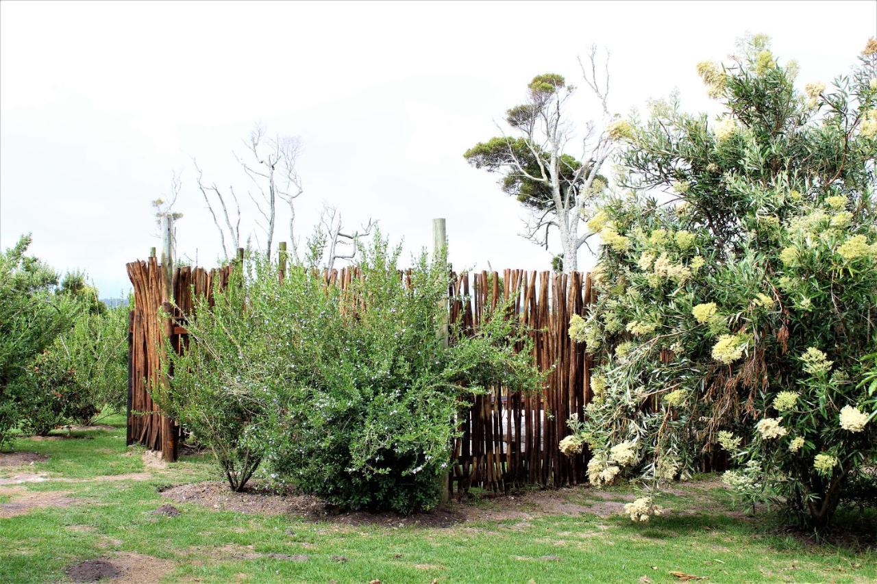 סטורמסריבייר Beyond Urban Cottages מראה חיצוני תמונה